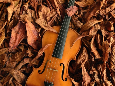 Violin, Violin and Cello