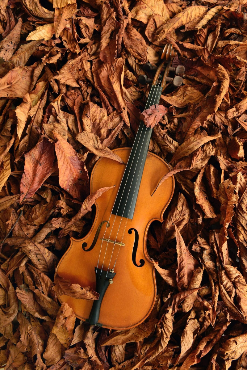 Violão, violino e violoncelo