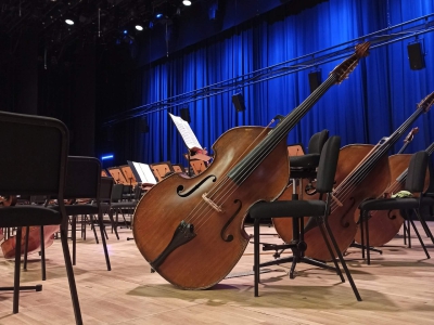 Orchestra instrument: discover the double bass
